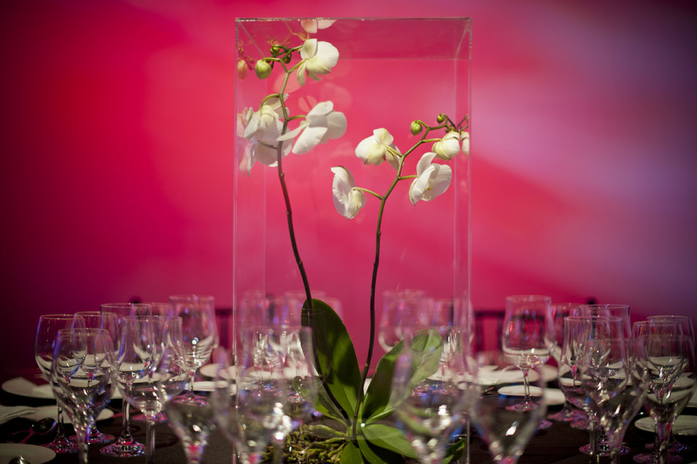 © Photoframe Eventos