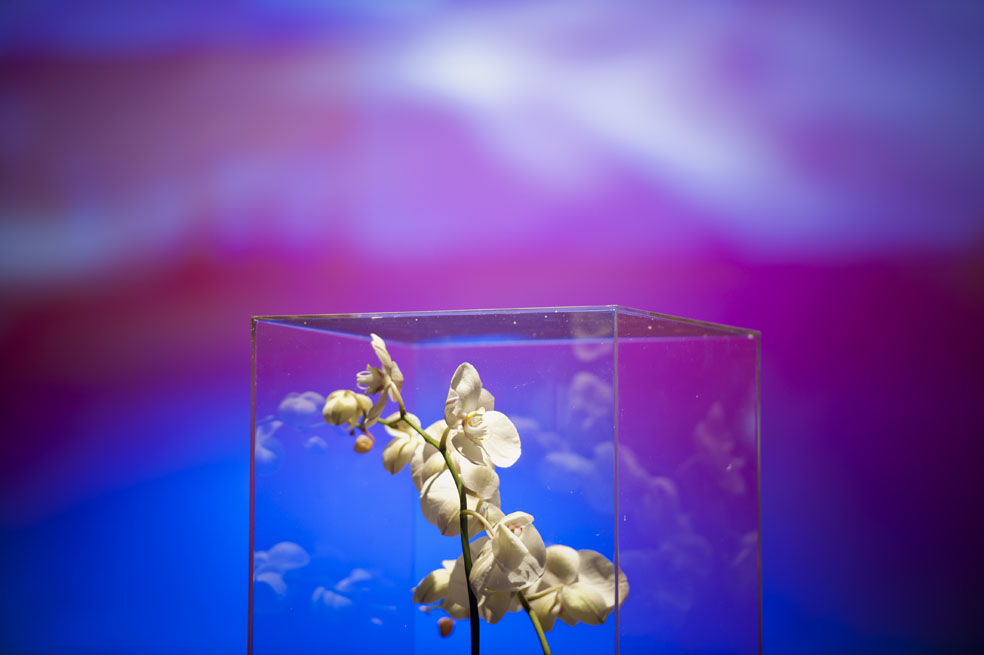 © Photoframe Eventos