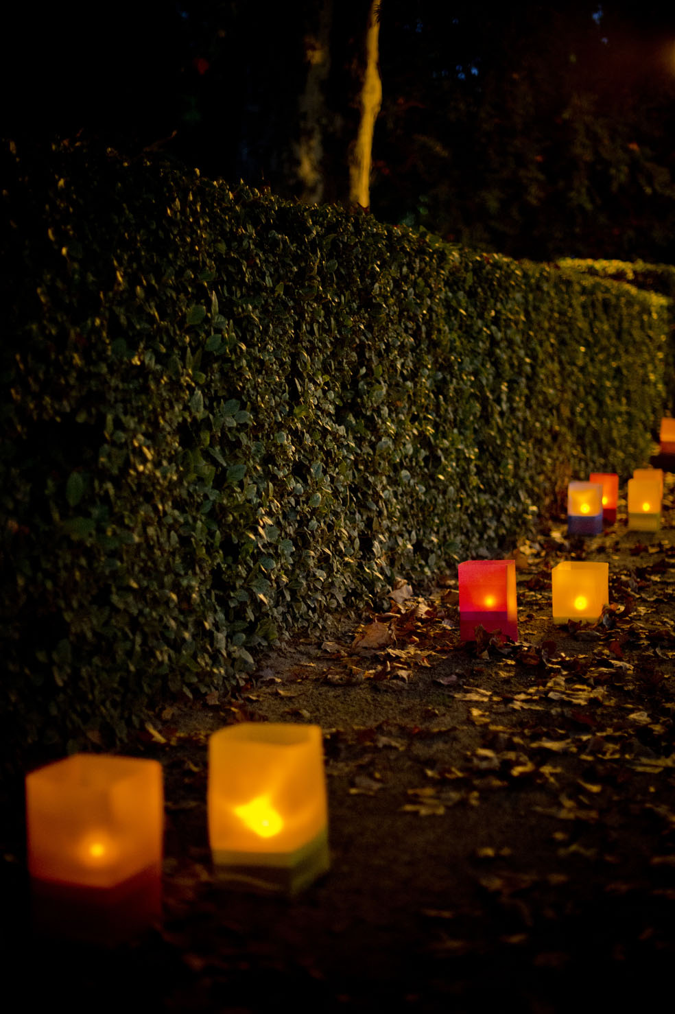 © Photoframe eventos