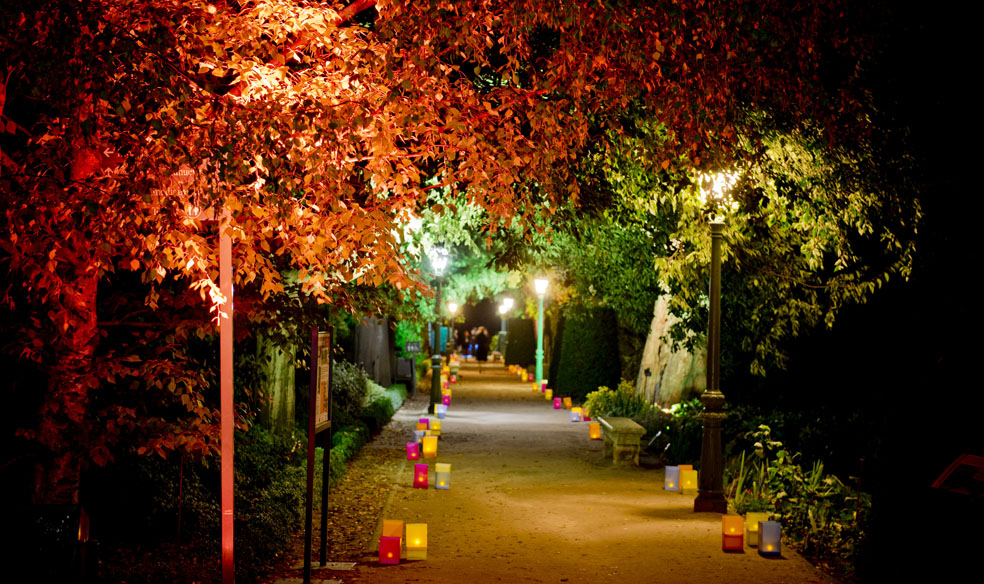 © Photoframe eventos