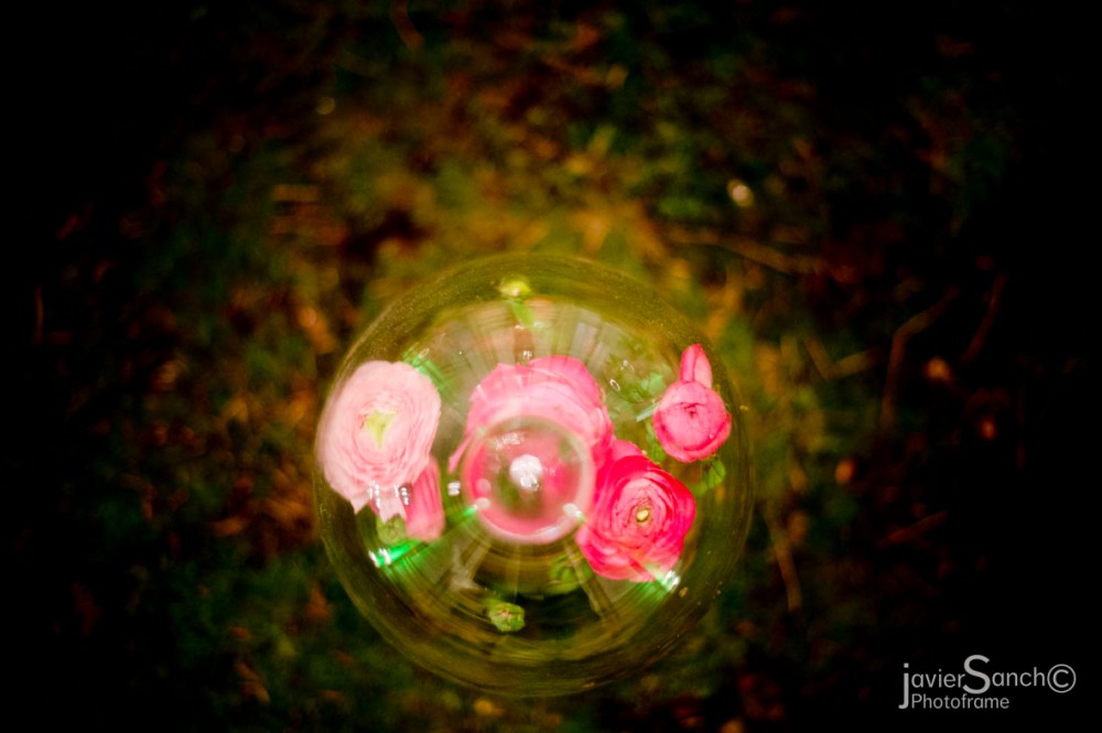 © Photoframe eventos