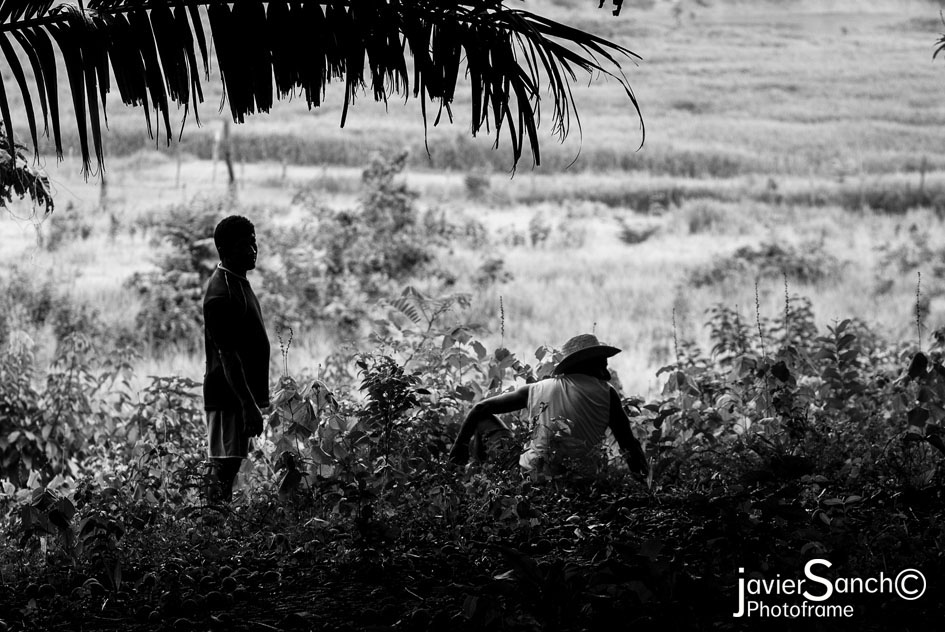 Photoframe Street Photography